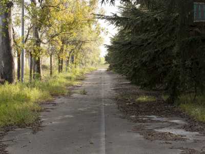 Lasciamo alle nostre spalle i campi e proseguiamo, immergendoci nella folta selva che si apre di fronte a noi. Siamo circondati da maestosi abeti, cedri e pini,